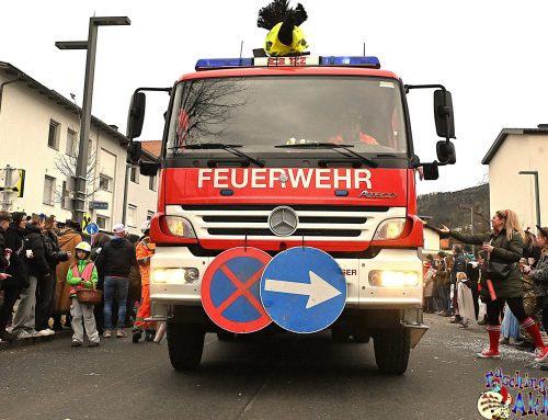 Bilder Faschingsumzug Teil 1